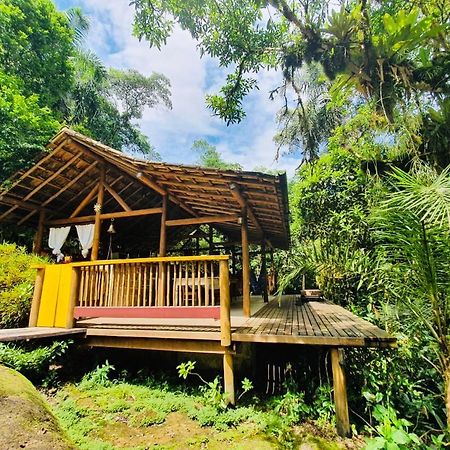 Eco Chalés Caminho das Águas Barra Grande  Exterior foto