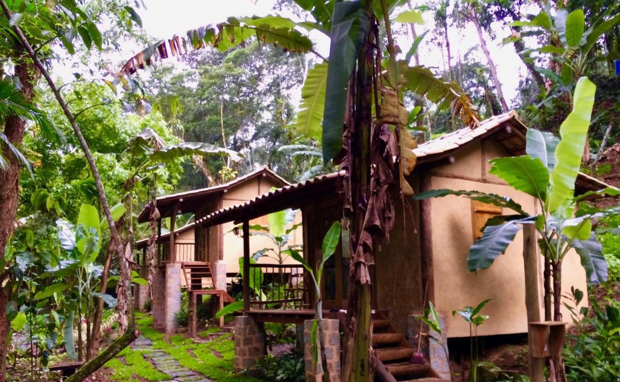 Eco Chalés Caminho das Águas Barra Grande  Exterior foto