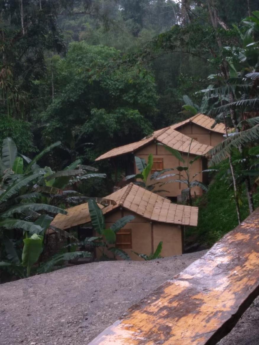 Eco Chalés Caminho das Águas Barra Grande  Exterior foto